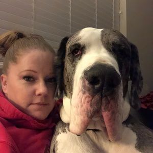 Meet your Posher, Monika